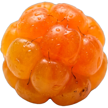 Cloudberry